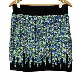 Ann Taylor Mini Skirt Size 4 Fabric Sequins Multi-color Womens Party